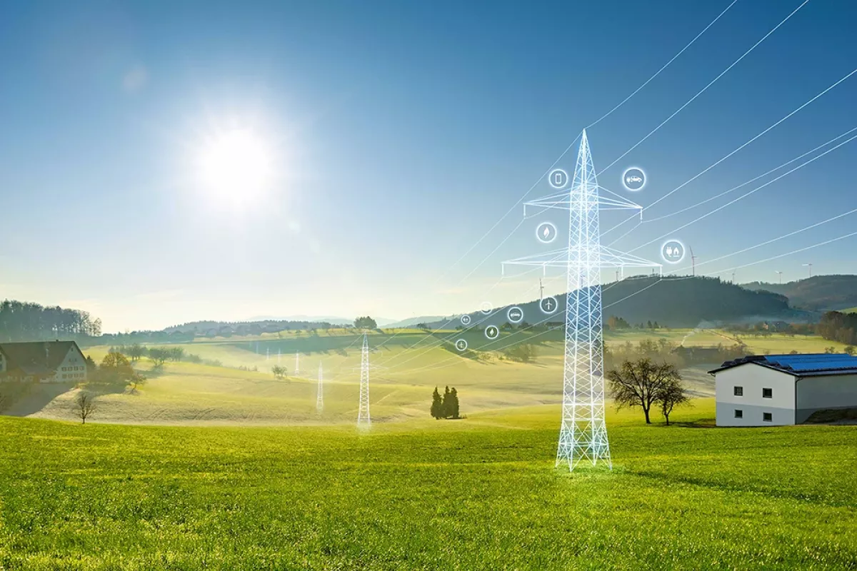 DEHN reference Nets BW